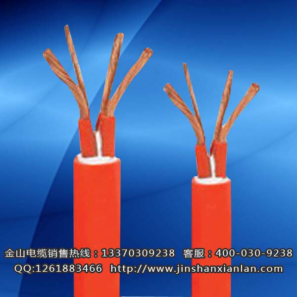 戶外升降機電纜FTCWYJ、FCTW...